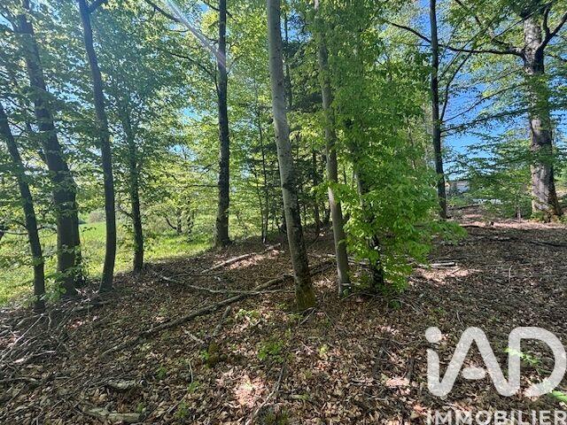 Châlet - 120 m² - 3 pièces