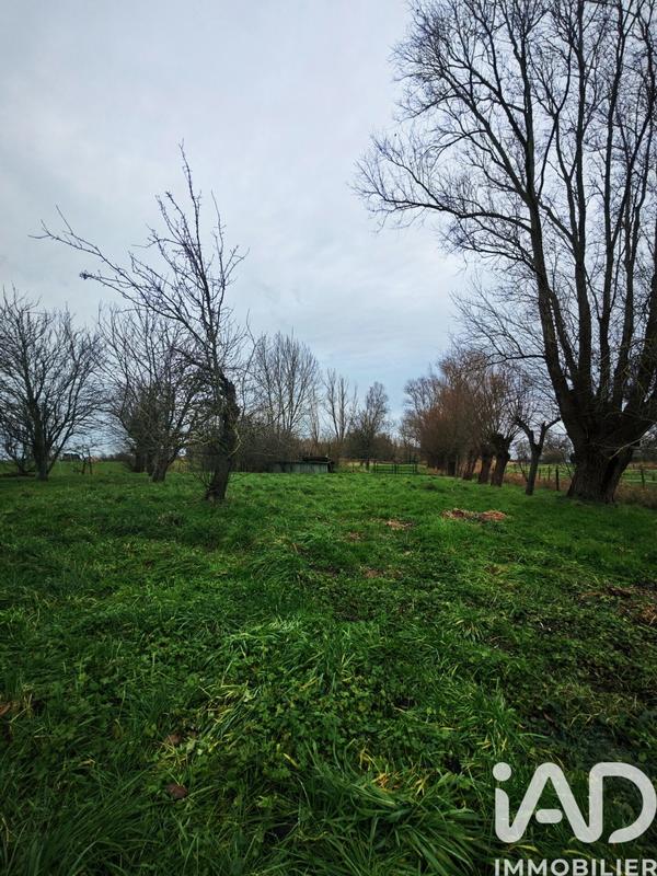 Maison - 217 m² - 8 pièces