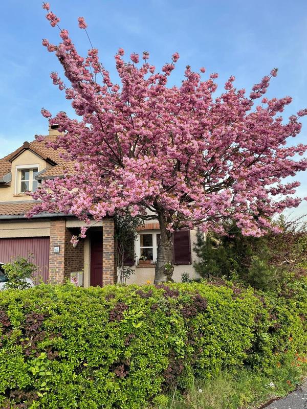 Maison - 129 m² - 6 pièces