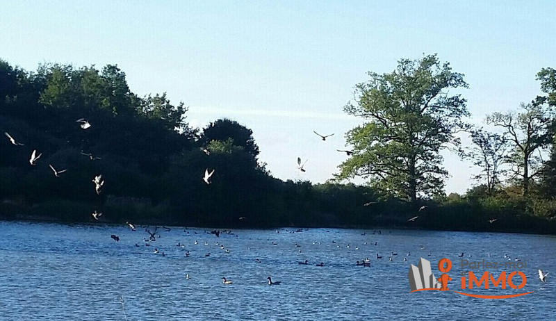 Maison - 335 m² - 12 pièces