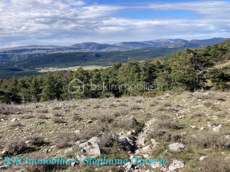 Terrain agricole - 10 100 m²