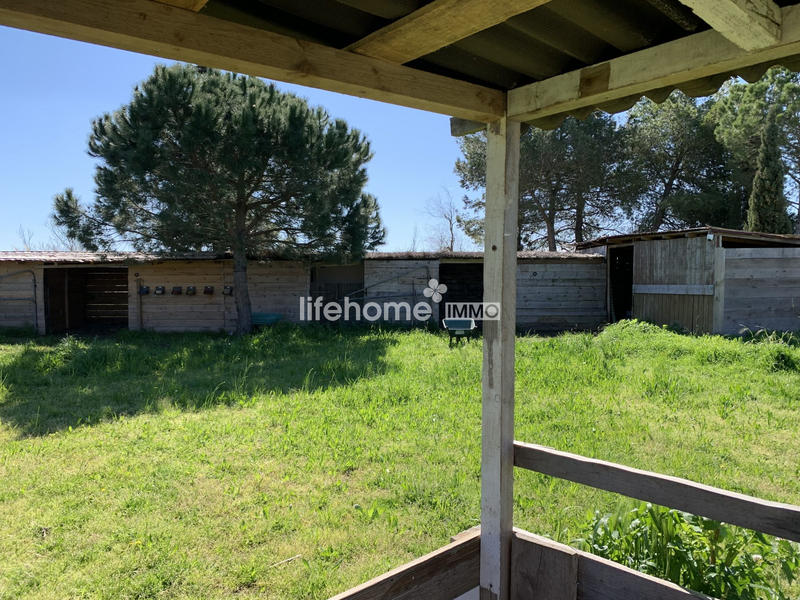 Mas - 238 m² - 7 pièces