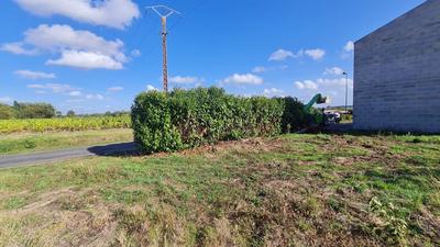 Terrain - 327 m²
