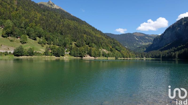 Appartement - 111 m² - 4 pièces