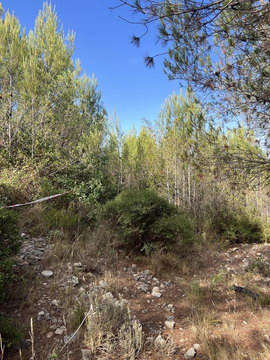 Terrain de loisirs - 2 006 m²