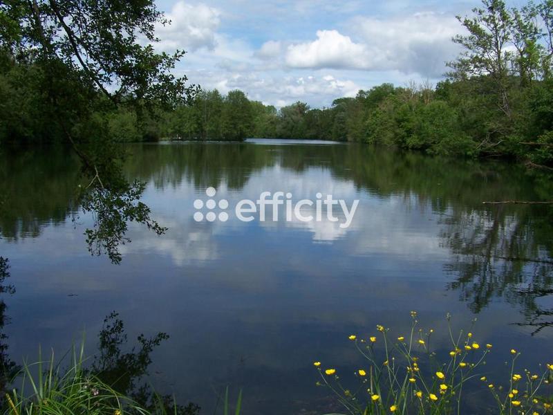 Terrain - 73 790 m²