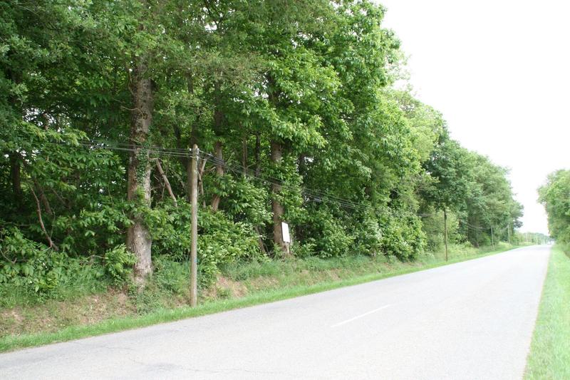 Terrain - 53 650 m²