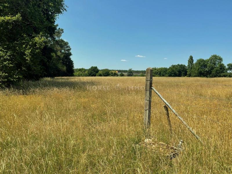 Haras - 303 m² - 10 pièces