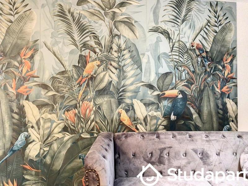 Chambre - 15 m² - 1 pièce