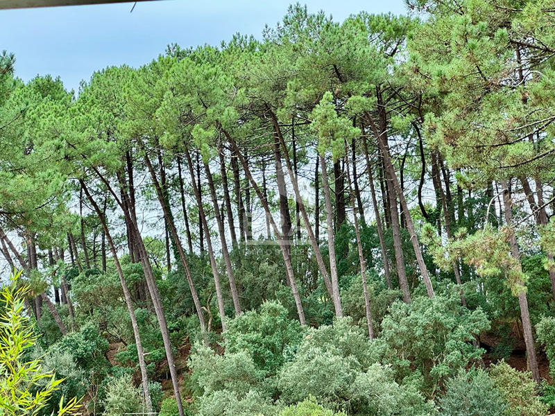 Maison - 190 m² - 6 pièces