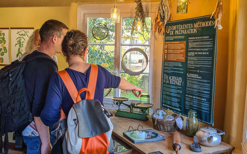 Rendez-vous nature : à la découverte de la nature