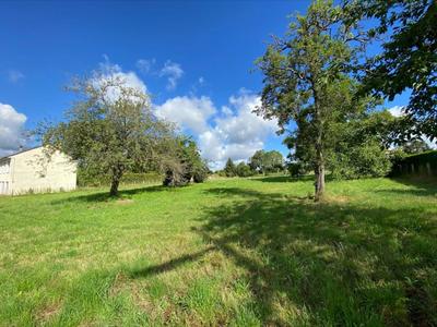 Terrain constructible - 3 747 m²