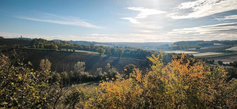 Propriété - 556 m² - 15 pièces