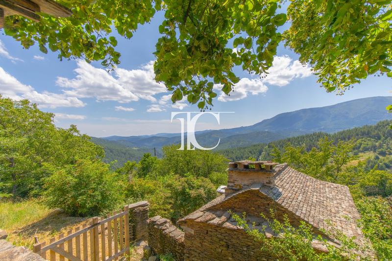 Propriété - 341 m² - 9 pièces