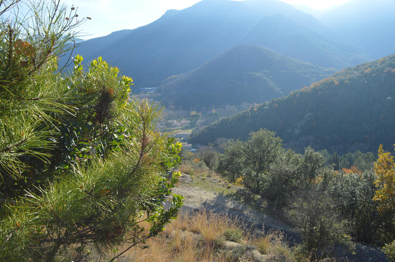 Terrain - 18 305 m²