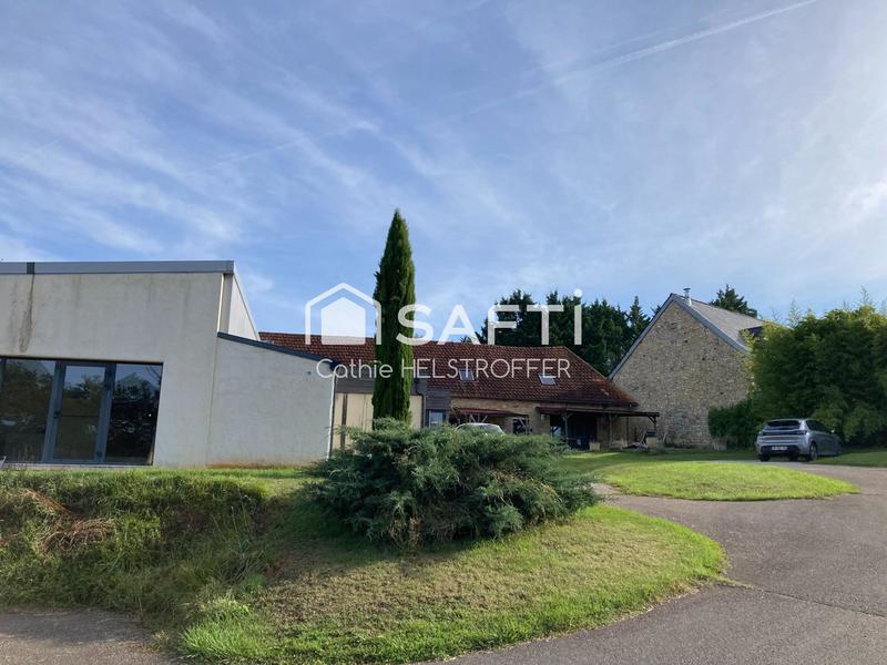 Local commercial - 495 m² - 10 pièces