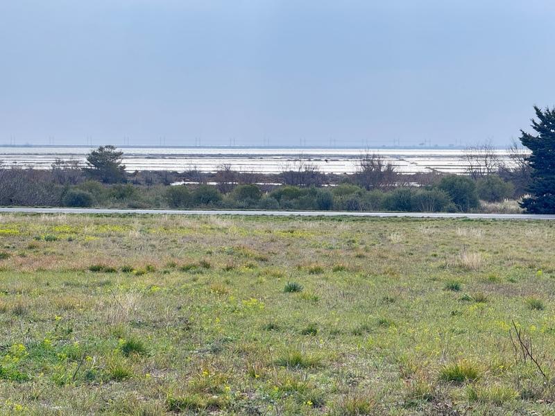 Terrain de loisirs - 5 410 m²