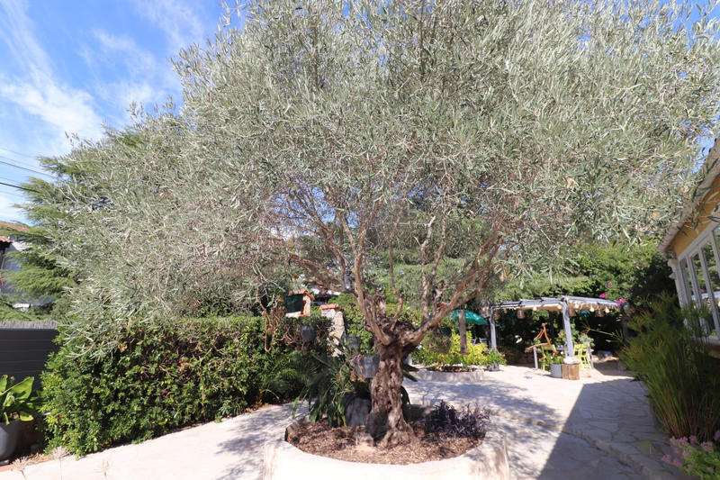 Villa - 195 m² - 7 pièces