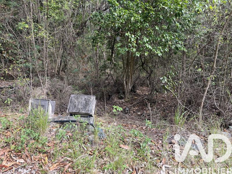 Terrain - 10 682 m²