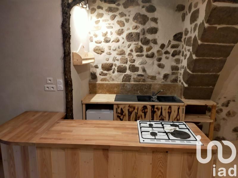 Loft - 50 m² - 1 pièce