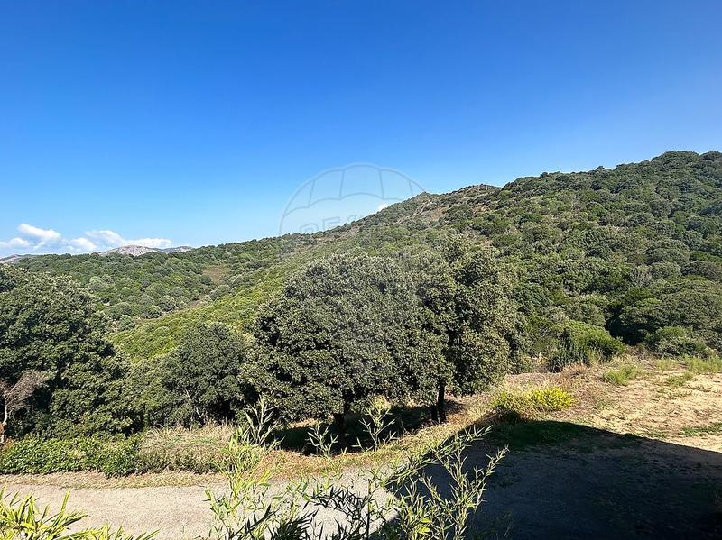 Villa - 150 m² - 4 pièces