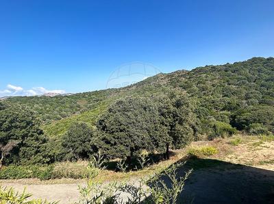 Villa - 150 m² - 4 pièces