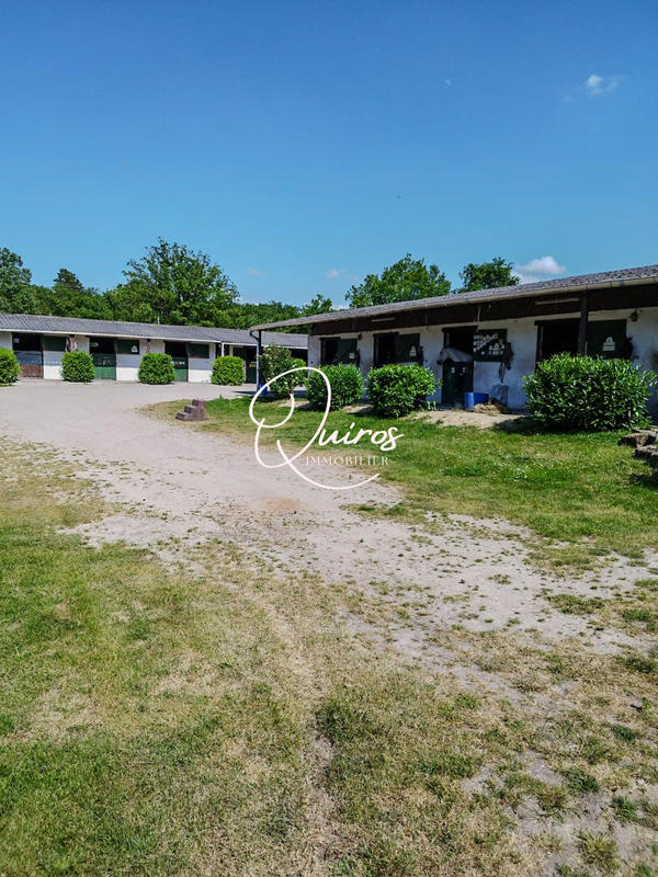 Maison - 300 m² - 10 pièces