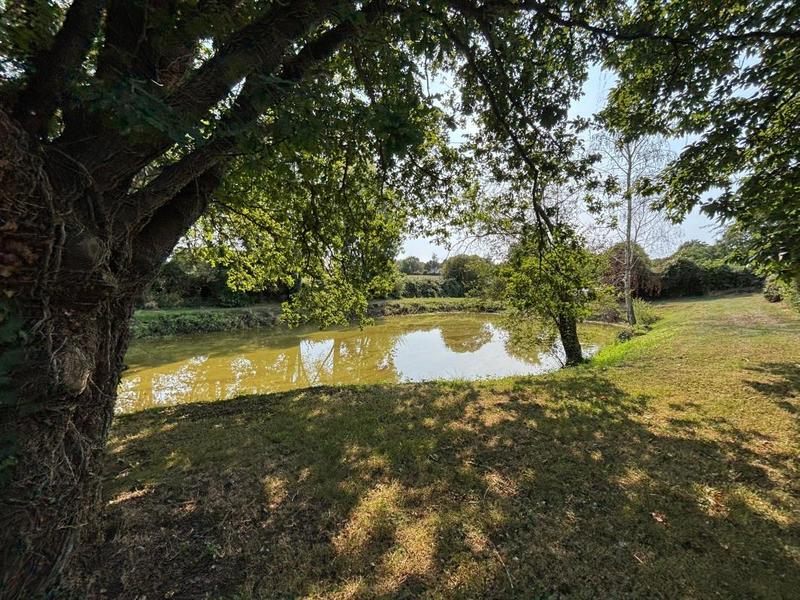 Maison - 146 m² - 5 pièces