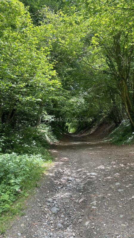 Terrain de loisirs - 1 900 m²