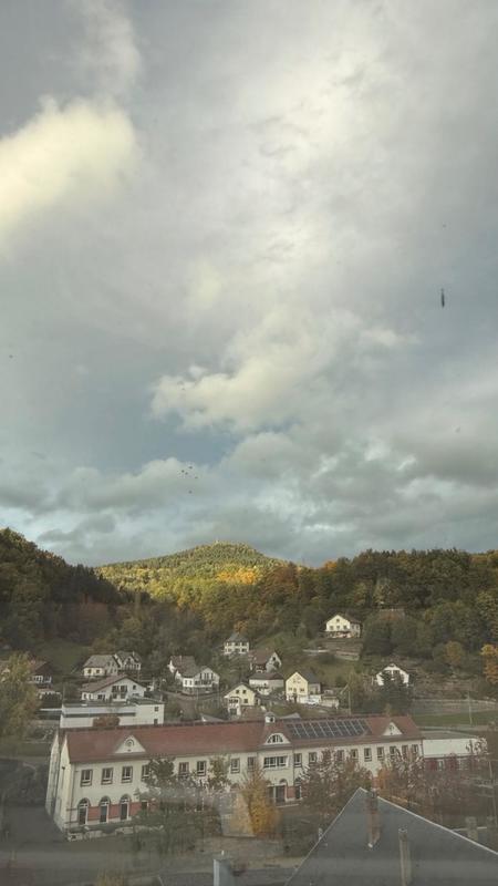 Appartement - 31 m² - 3 pièces