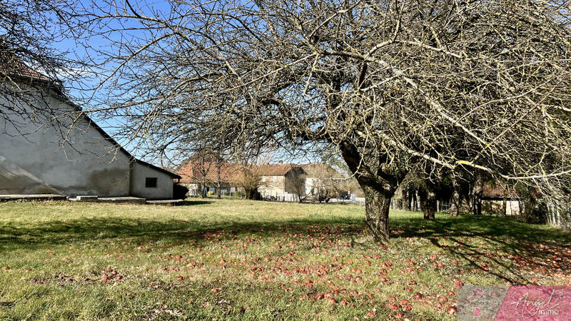 Maison - 264 m² - 9 pièces