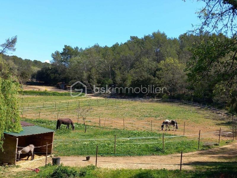 Maison de domaine équestre - 165 m² - 7 pièces