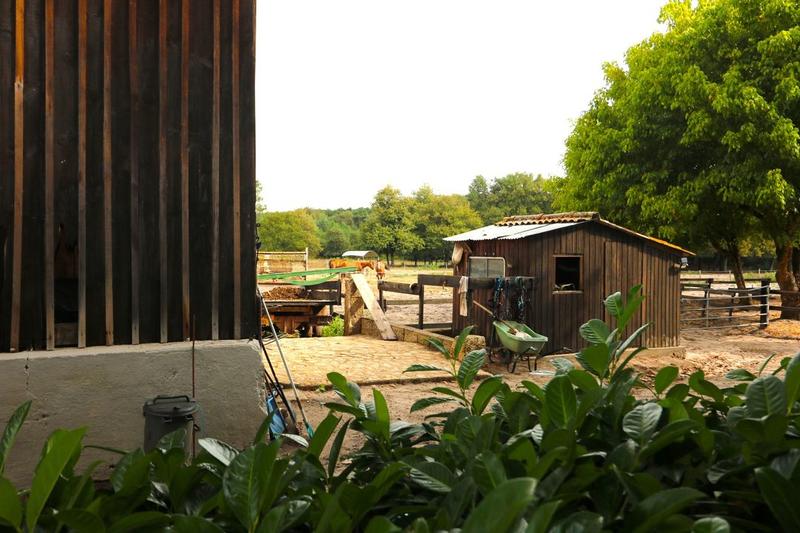 Propriété - 220 m² - 9 pièces