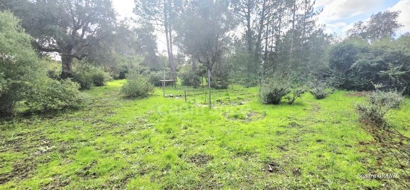 Terrain constructible - 1 000 m²