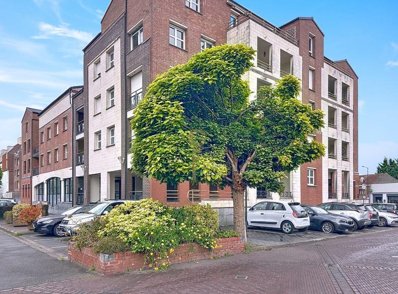 Appartement - 77 m² - 3 pièces