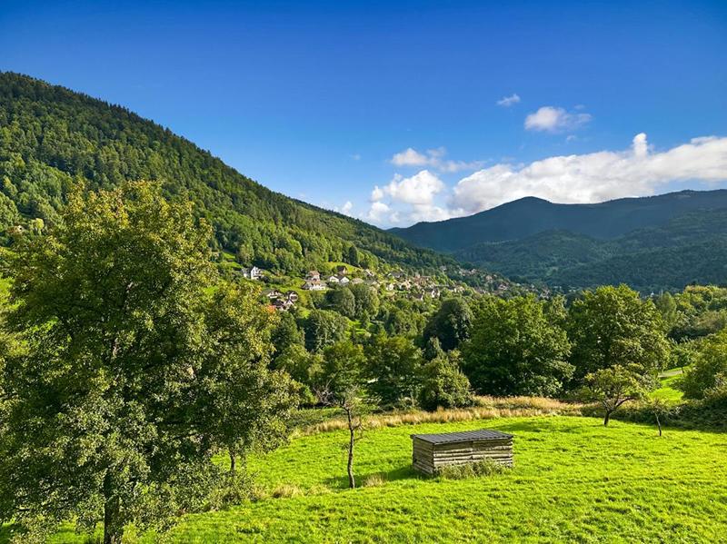 Appartement - 87 m² - 4 pièces