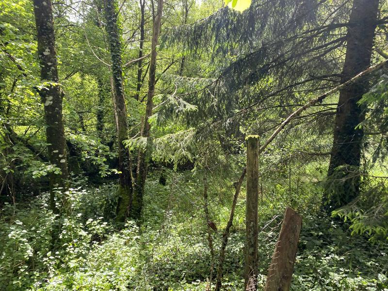 Maison ancienne - 170 m² - 5 pièces