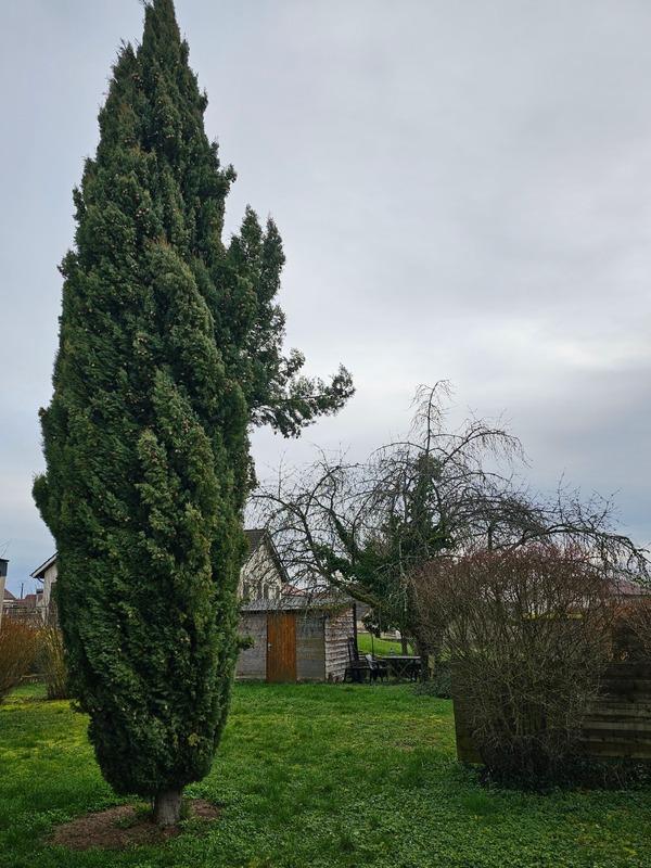 Maison - 134 m² - 6 pièces