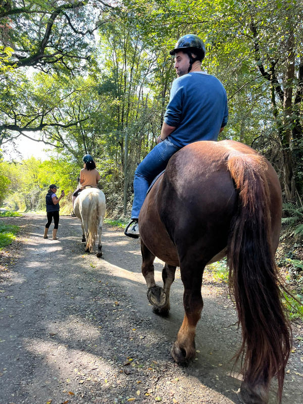 Fonds de commerce - Magasins - 62 459 m²