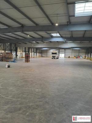 Entrepôt - 3 206 m²