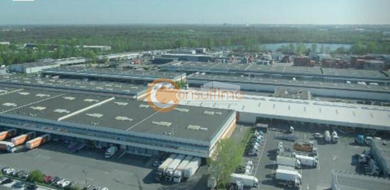 Local d'activité / Entrepôt - 6 257 m²