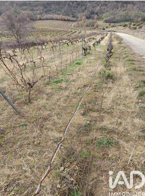 Terrain - 65 360 m²