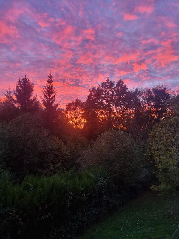 Maison - 220 m² - 7 pièces