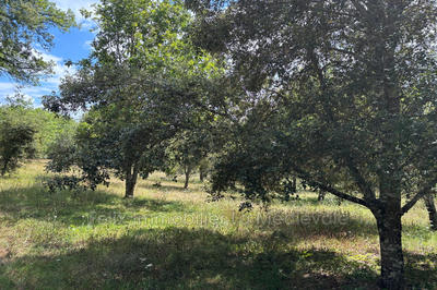 Ferme - 97 m² - 4 pièces