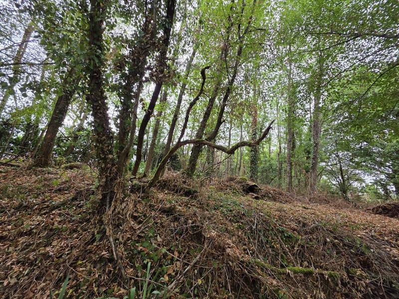 Maison - 33 m² - 1 pièce