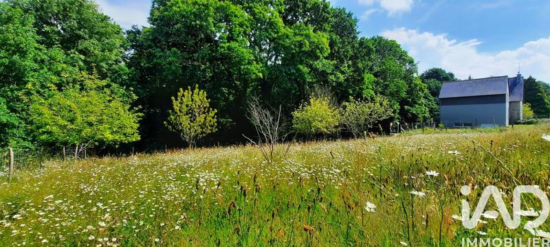 Maison de campagne - 252 m² - 9 pièces