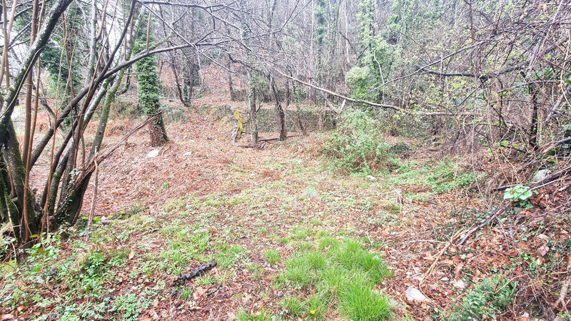 Terrain constructible - 9 403 m²
