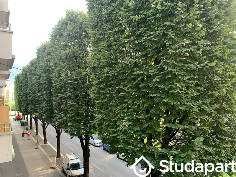 Chambre - 14 m² - 1 pièce