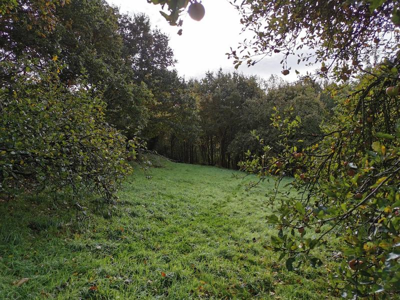 Maison - 119 m² - 5 pièces