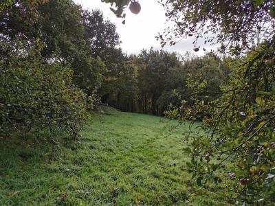 Maison - 119 m² - 5 pièces